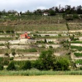 2007H 088 Unstrut Saale Elbe